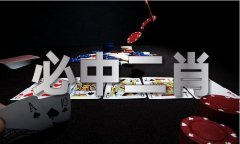 澳门精准免费材料大图库_澳门精准免费材