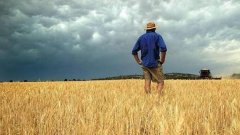 关心│是什么碾压着农人难以翻身？