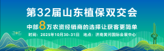 齐鲁特色农产闪烁！凤凰创意集团帮力第